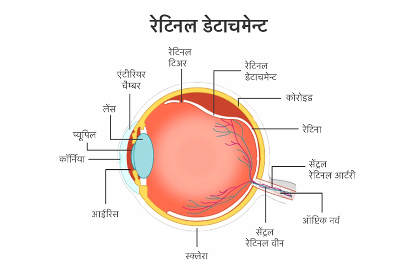 Where are you Now Meaning in Hindi/Where are you Now का अर्थ